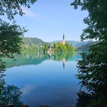 Apartament Apartma Jezerci Bled Zewnętrze zdjęcie