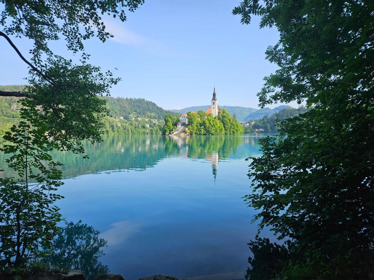 Apartament Apartma Jezerci Bled Zewnętrze zdjęcie