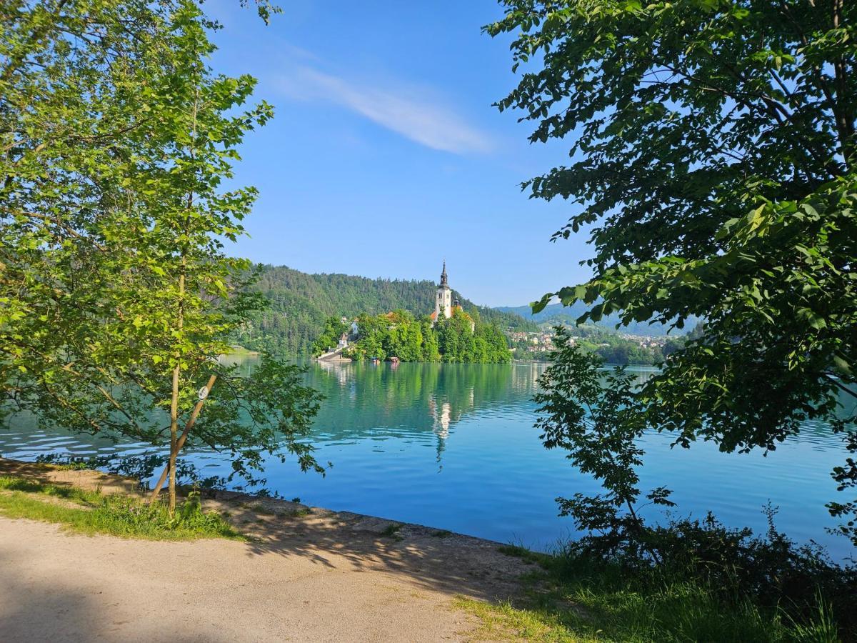 Apartament Apartma Jezerci Bled Zewnętrze zdjęcie
